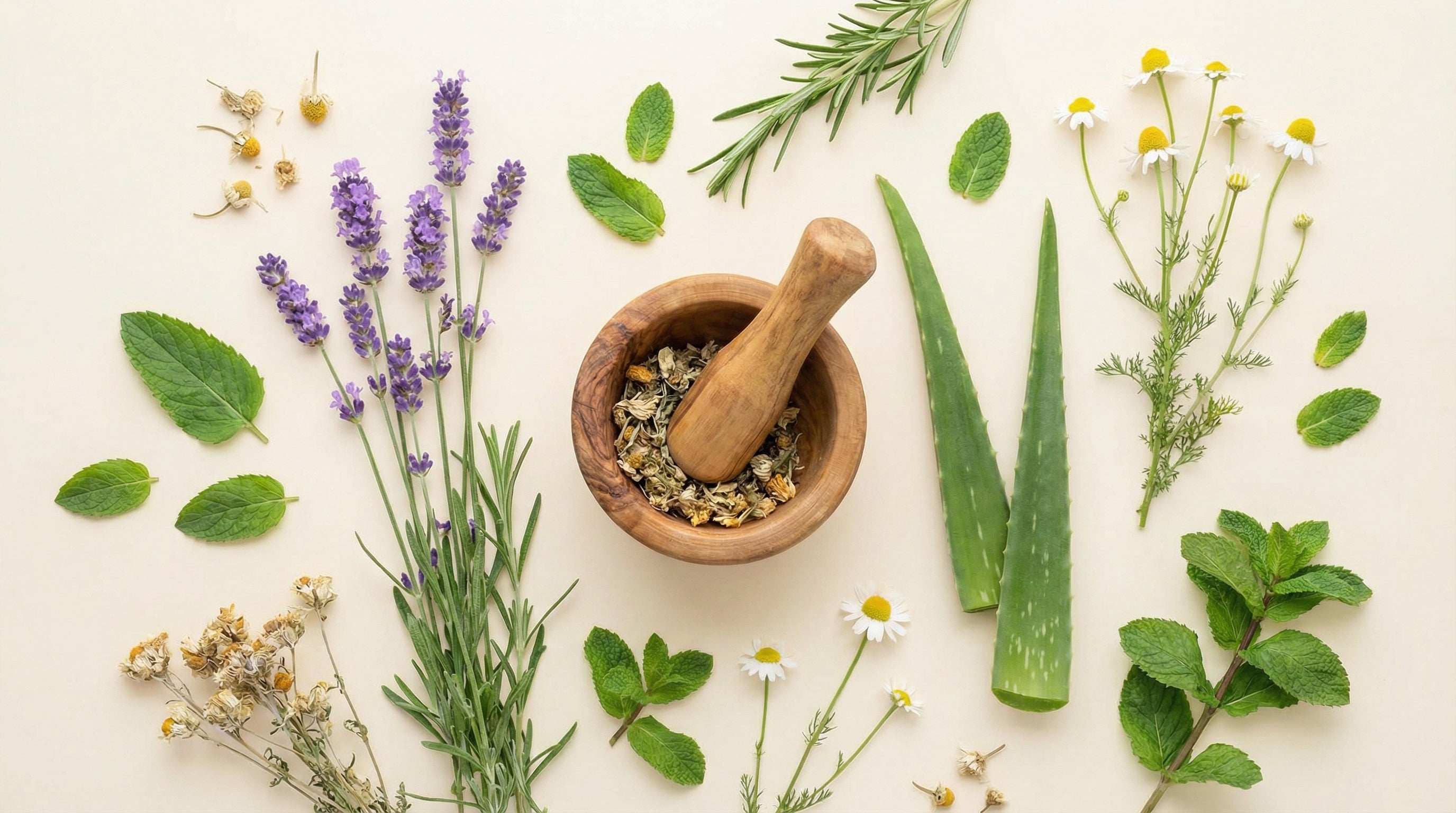 Nos amies les plantes