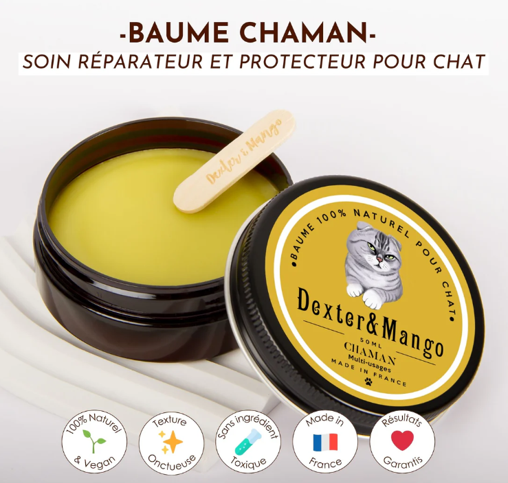 Chaman